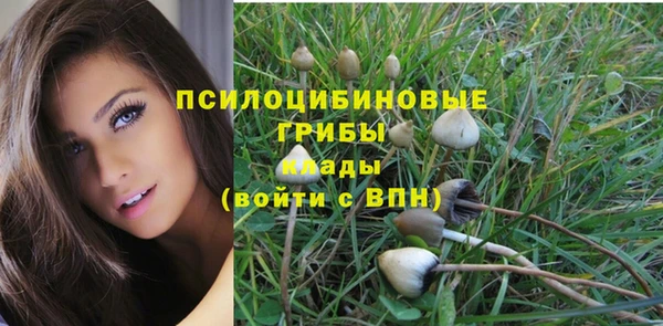 PSILOCYBIN Верхнеуральск
