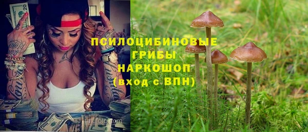 PSILOCYBIN Верхнеуральск
